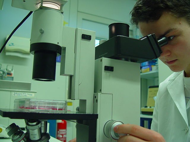 Scientist By Heidelberger Life-Science Lab (Heidelberger Life-Science Lab) [GFDL (http://www.gnu.org/copyleft/fdl.html) or CC BY-SA 3.0 (https://creativecommons.org/licenses/by-sa/3.0)], via Wikimedia Commons