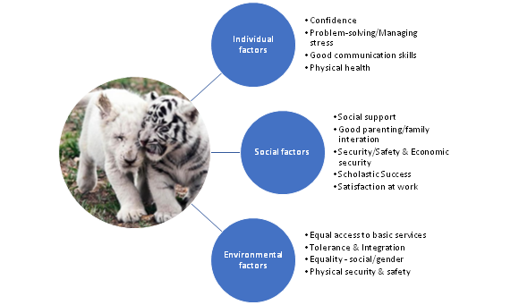 Factors Causing Positive Mental Health Outcomes