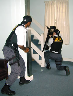 By DEA (http://www.usdoj.gov/dea/job/agent/page-05.htm) [Public domain], via Wikimedia Commons